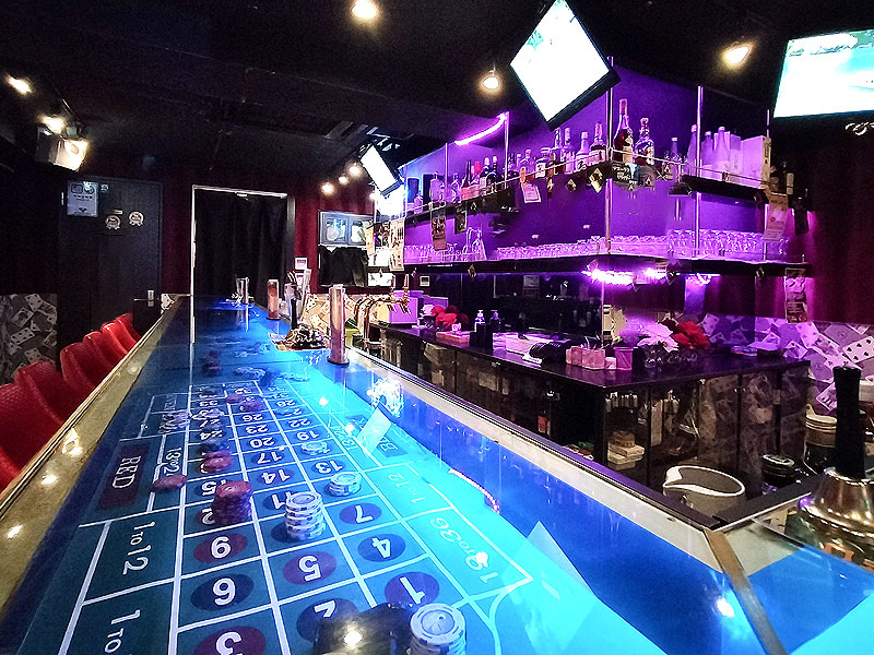 【夜の赤坂】現役バニーガールがご案内！女性のためのガールズバー貸切潜入～芸能人御用達、女性もときめく魅惑の世界！座学＆夜の赤坂めぐり付き～