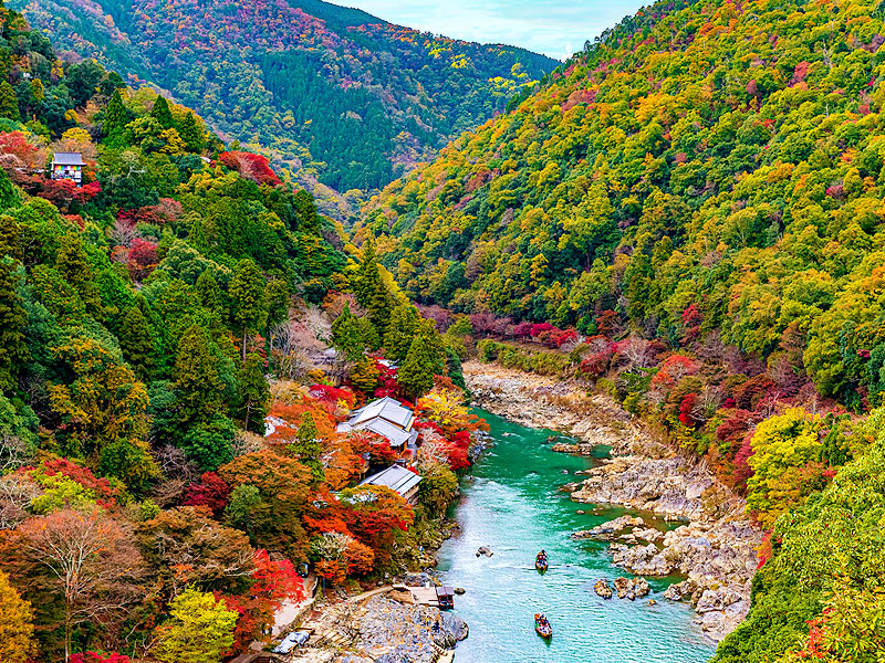 【嵐山】庭師とめぐる錦秋の嵐山、天龍寺十境・夢窓国師の庭園観～紅葉に染まる天下の絶景、曹源池庭園から嵐峡の大パノラマまで～
