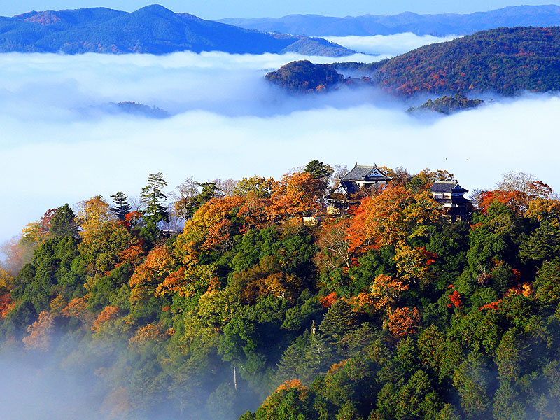 【備中松山城】雲海と紅葉に浮かぶ備中松山城へ！日本唯一、天守が残る奇跡の山城～山全体が大要塞！武家屋敷＆小堀遠州の名庭を拝見、山上の中世城郭まで～