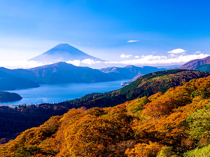 【箱根】森の案内人と絶景のカルデラ湖へ！大噴火が生んだ日本一の温泉リゾート～神々を祀る火口丘、箱根三社、毒竜の森！？紅葉の箱根トレッキング～