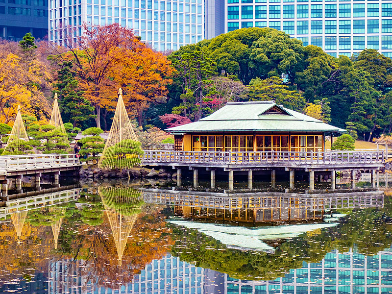 【浜離宮・芝離宮】庭師といく2つの汐入庭園、将軍が暮らした海際の別邸～太古から生き残った巨樹、水上の茶室、潮の満ち引きに変化する海岸の庭園美～