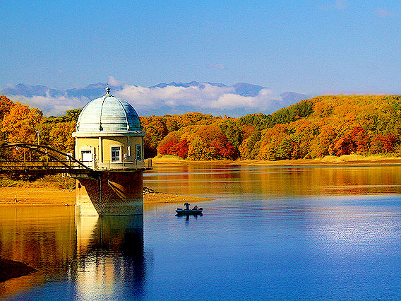 【東村山】トトロの森はなぜできた！？多摩武蔵野スリバチ学会凹凸ツアー～東京に浮かぶ緑の島へ！日本一美しい取水塔、志村けんさんの故郷まで～