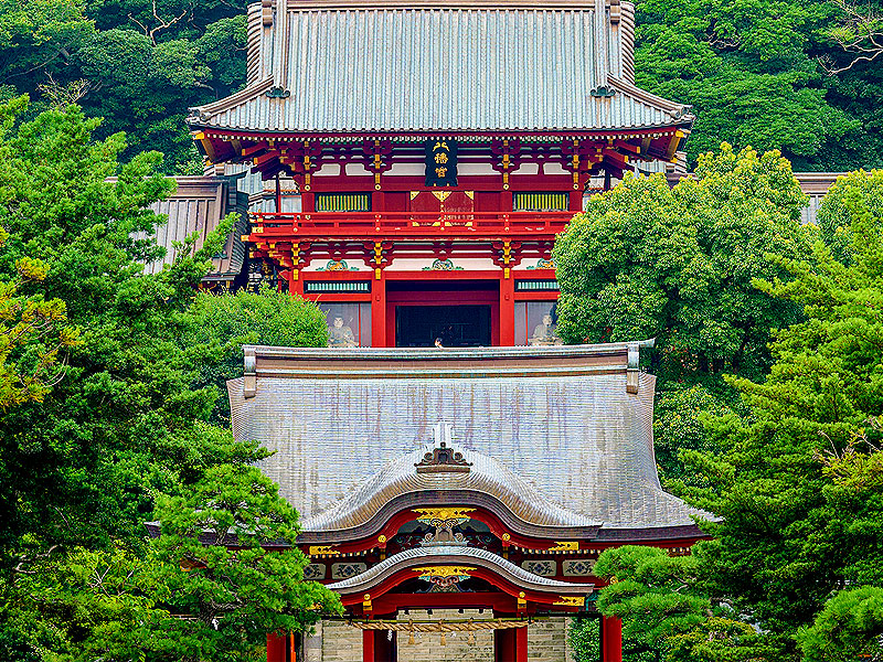 【鎌倉】庭師といく鎌倉殿の中枢、鶴岡八幡宮から岩盤くり抜いた圧巻の庭園まで～今も残る鎌倉時代の本殿、天然の要塞に築かれた800年前のまちづくり～