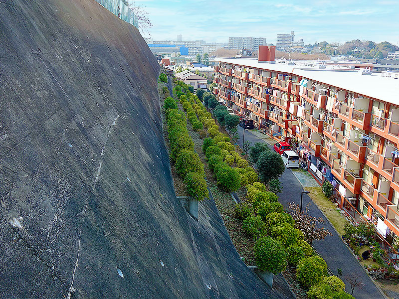 【成増】東京15万年凸凹ストーリー！都市史研究者と武蔵野台地の北端へ～23区最大の崖！？中世赤塚城から百々向川の暗渠、東京大仏まで～