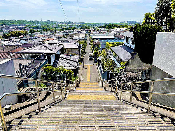 【聖蹟桜ヶ丘】耳をすませば☆ジブリの舞台巡礼、スリバチ学会凹凸ツアー～駆け下りた激階段、告白の神社、いろは坂から丘の上のロータリーまで～