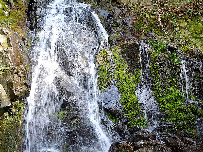 【鹿ヶ谷】秋色に染まる楼門の滝へ！幻の山林寺院から紅葉包む哲学の道まで～Let’s里山ハイキング☆草花が、野鳥たちが秋を謳歌する渓谷の森～