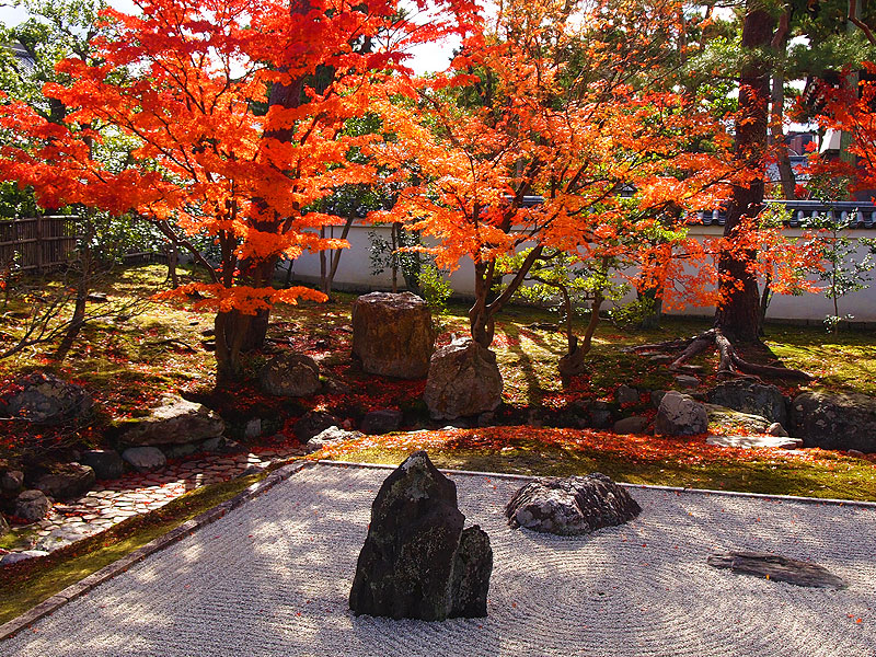 【相国寺】穴場の紅葉・庭園めぐり、吉村がこっそりご案内～秋だけに開かれる枯山水、とっておき秘密の庭園、絶品の秋景色を探して～