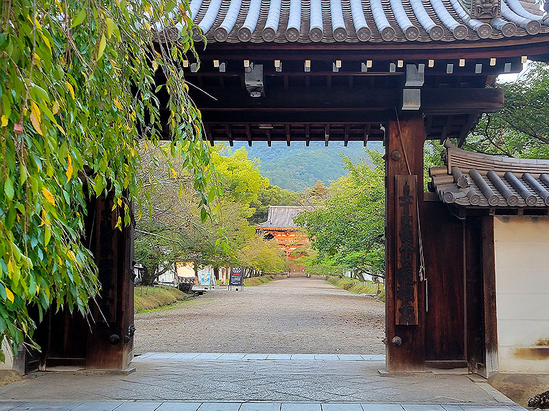 【醍醐】醍醐寺に仕えた寺侍の町へ！通常非公開・2つのお屋敷を拝見～築300年の建築、維新志士達を匿った隠し階段、寺侍の末裔を訪ねて～