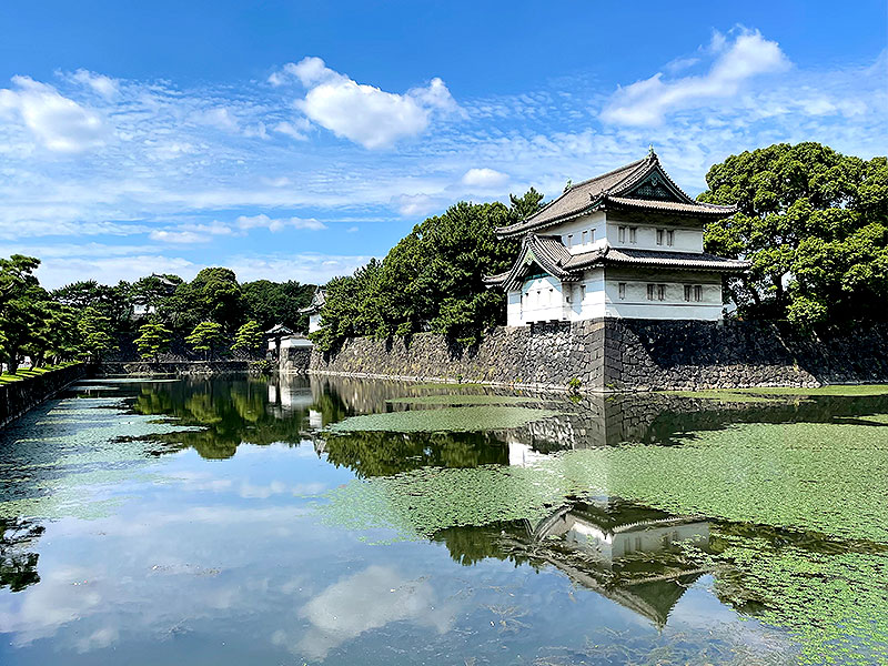 【江戸城】初代城マニア王といく日本最大の巨城、最強「江戸城」大解剖ツアー～史上最高の天守台、石垣マニアック鑑賞術、天下人の城塞を解き明かせ～