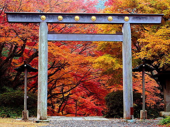 【日向大神宮】森の案内人が贈るマイベスト紅葉、渓谷を染める東山の秋彩～Let’s紅葉狩り！南禅寺から天岩戸まで、秘密のスポットへ抜ける小径～