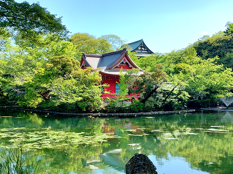 【吉祥寺】ブラタモリ案内人と水源の町へ！江戸の一大リゾート凹凸ツアー～“住みたい街”はどうできた！？窪地に生まれた、武蔵野台地のオアシスへ～