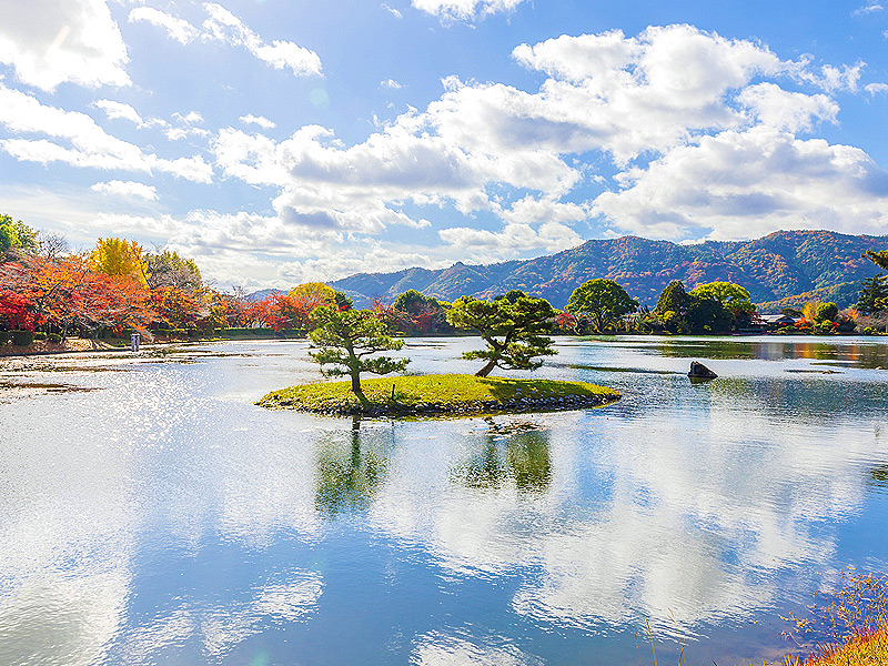 【まいまい大学】一から学ぶ日本庭園、美と思想が凝縮された深淵の世界に迫る～大覚寺・天龍寺・醍醐寺・二条城…庭師といく、時代を代表する極上の名庭～