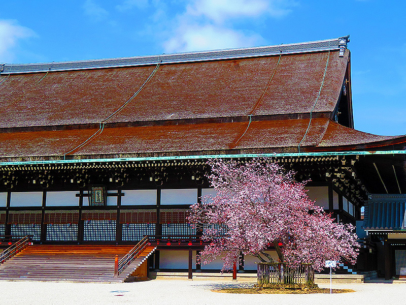 【TV放送記念・御所編】タモリさんを案内したガイドと、謎多き天皇の住まいへ～公家町に武家の門！？違和感だらけの御殿群、御所用水の痕跡を捜し出せ～