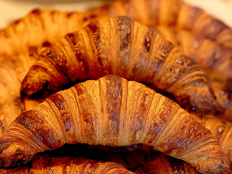 【パン】京都・岡崎のパンまつり！パンライターと4軒のパン屋さんへ～ハプスブルク家御用達から京都もちもちベーグル、米屋の絶品パンまで～