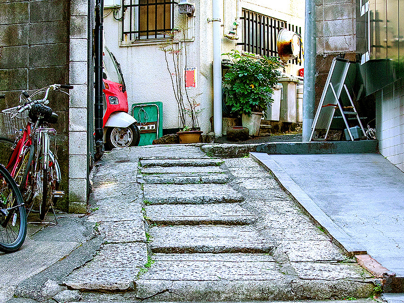 【四ツ谷】都市史研究者と、四つの谷を探し出せ！寺町・下町・坂道めぐり～いざ地形好きの聖地へ！四方が崖の旧花街、「君の名は。」の舞台まで～