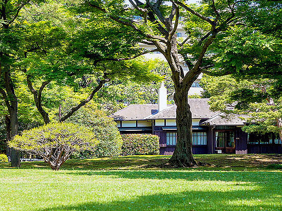 【国分寺】多摩武蔵野スリバチ学会ツアー！国分寺崖線とハケの湧き水が生んだ街～古代、関東の中心はなぜここに！？幻の巨大寺院、新緑の別荘庭園を訪ねて～