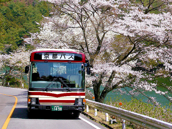 【京都バス】バスマニア研究者と「幻の路線」貸切バスツアー！桜咲く西山ドライブウエイ～年に一度の90系統！戦前ドライブウェイ計画と遊覧都市、絶景の展望台まで～