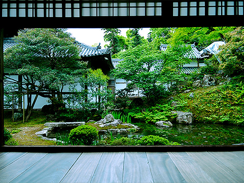 【西山】普段非公開の浄住寺＆苔香居を拝見、貴族の名門・葉室家の拠点へ～青もみじと苔が包む池泉庭園、社家の邸宅・洗練された書院建築まで～