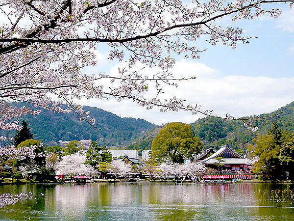 【大覚寺華道祭】王朝貴族たちの舟遊び！龍頭鷁首舟が浮かぶ、平安優美な祭典へ～絢爛豪華な障壁画、“嵯峨御所”の巨大庭園、のどかな田園に舞う王朝絵巻～