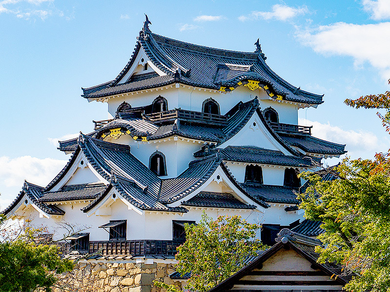 【彦根城】藪内さんと徳川四天王の名城へ！国宝天守「彦根城」徹底攻略ツアー～ずらり重文、鉄壁の櫓尽くし！圧巻の登り石垣から絶景の大名庭園まで～
