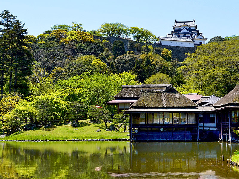 【彦根城】梅林崖長と国宝天守＆絶景の大名庭園へ！不滅の名城「彦根城」凸凹ツアー ～大堀切から圧巻の登り石垣、重文尽くしの櫓群…井伊家の城塞を攻略せよ～