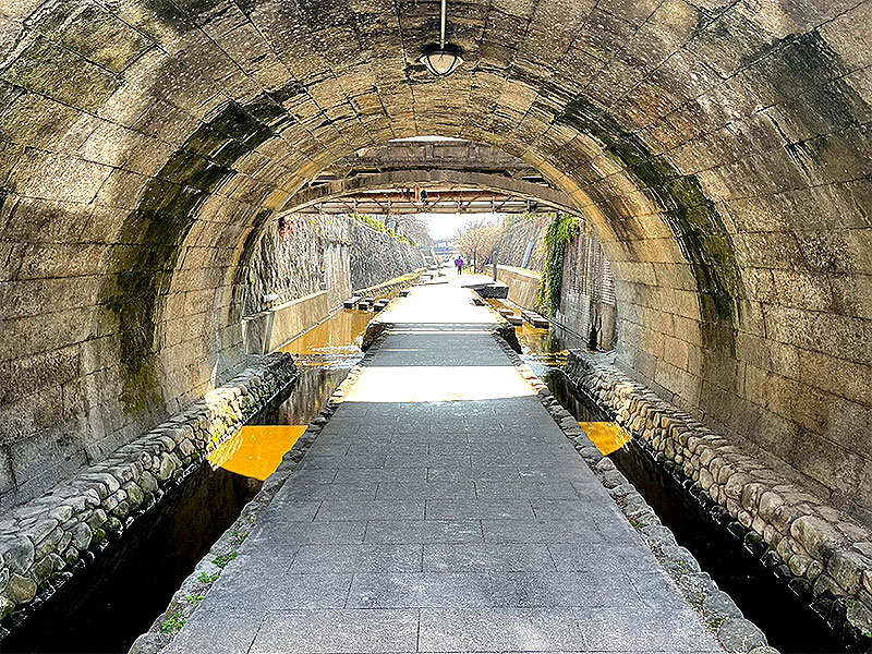 【堀川】高橋先生と京の「ドボク遺産」大解剖！甦った平安京の運河を解き明かせ～魔界伝説戻り橋、徳川の石垣、大正の鉄げた橋、「N電」奇跡の痕跡まで～