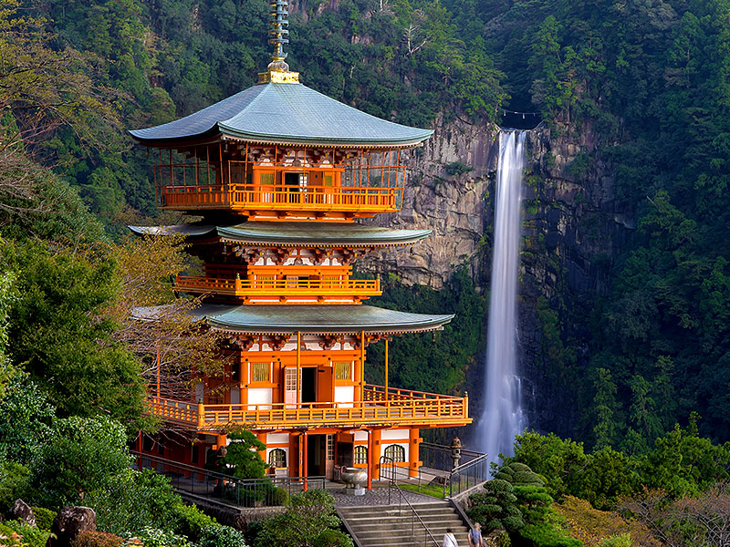 【熊野三山】神々が籠る深山の霊場へ！世界屈指の巡礼路、誰もが憧れた熊野詣バスツアー～神宿す巨樹の森と巨岩の聖地、熊野古道から那智の滝、“日本人の旅の原点”をいく～