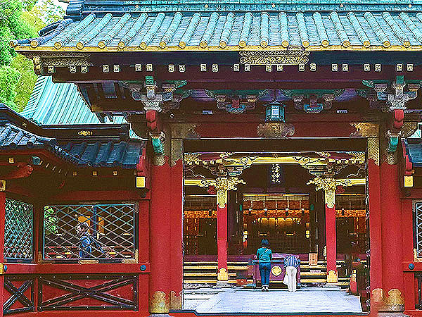 【根津神社】圧巻の花景色、東京随一の極彩色社殿へ！建築史家といく建築の一大聖地～“天下普請”の大造営！江戸最大級、徳川の建築意匠から総漆塗の権現造まで～