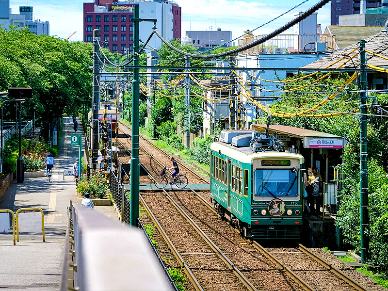 【都電荒川線】東京に唯一残った路面電車、秋の沿線ぶらり途中下車の旅～めざせ全線完乗！日本一の急勾配から明治の鉄塔、電停のお茶屋さんまで～