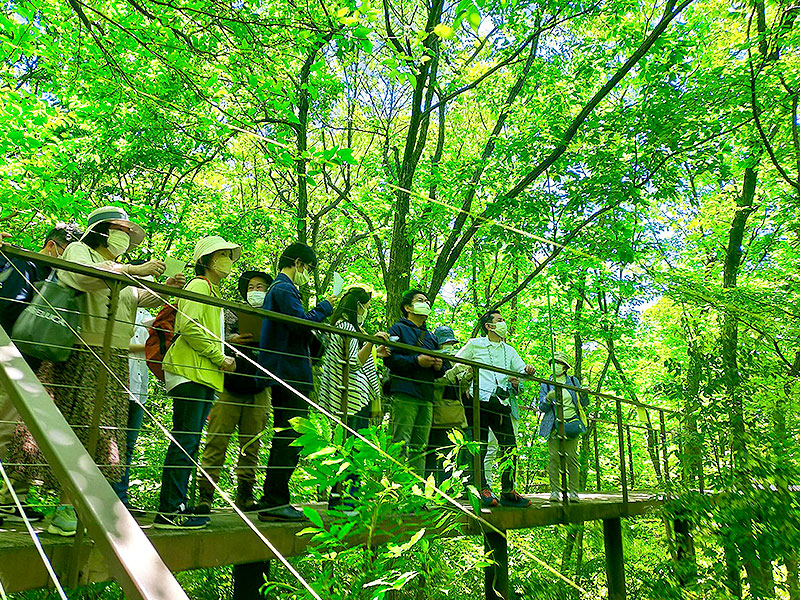 【京都駅の森】まちなか植物ウォッチング！森目線で駅ビルから梅小路公園へ～京都駅すぐそばに原生林が！？大滝、花床、森復活を企む木々たち～