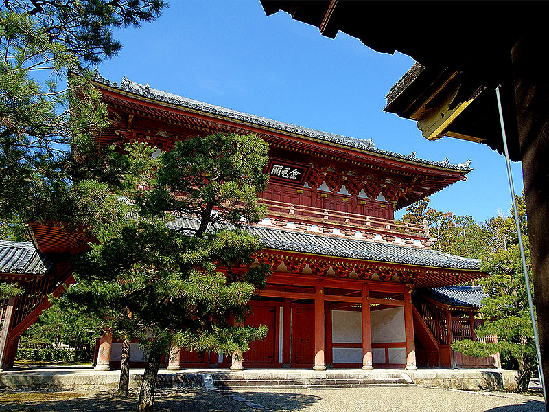 【紫野】「源氏物語」に描かれた王朝絵巻の舞台へ、紫式部はじまりと終わりの地～民家の裏に謎の古墳！？光源氏が籠もった雲林院、産湯井から式部墓所まで～