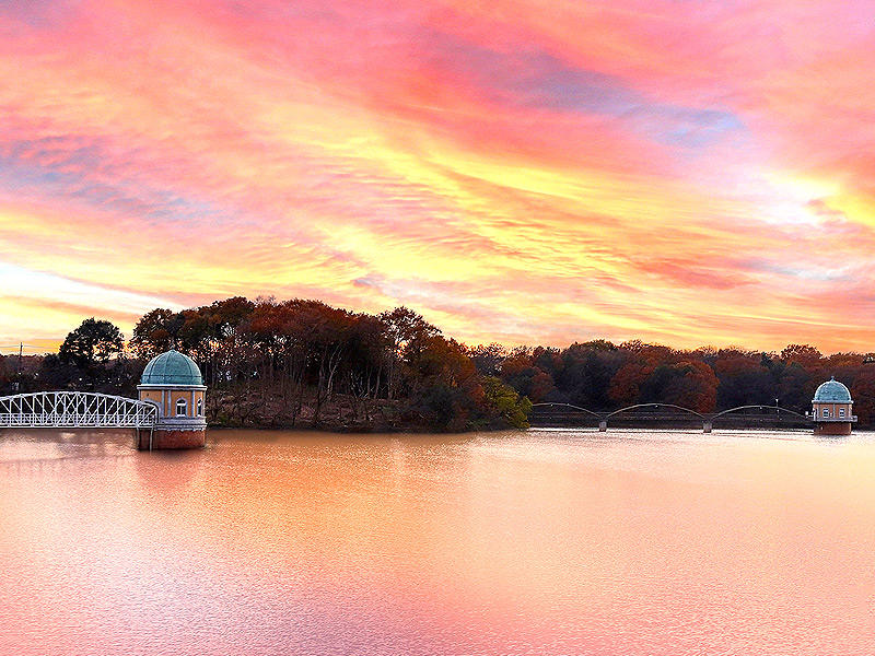 【東村山】東京に浮かぶ緑の島“トトロの森”へ！日本一美しい取水塔、東京唯一の国宝建築～多摩武蔵野スリバチ学会凹凸ツアー！東京の水がめ・多摩湖、志村けんの故郷まで～
