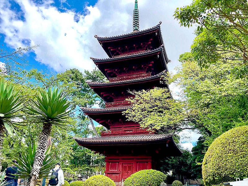 【中山法華経寺】ズラリ重文、古建築の宝庫！建築史家と日蓮宗大本山じっくり拝観～極めて希少な“比翼入母屋造”とは！？伏見さんイチオシ格好いい傑作建築群～