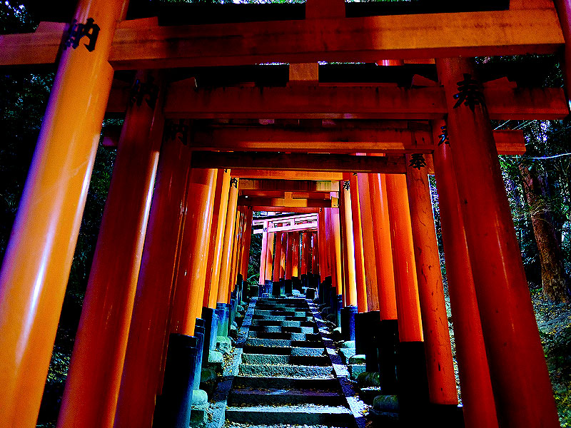 【夜の伏見稲荷】怪談史研究家と聖地ひんやりナイトウォーク！稲荷山のウラの顔～千本鳥居の秘密、失せ人さがしの池、12ヶ所の狐穴…秘められた信仰と物語～