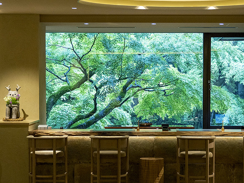 【moksa】比叡山麓・八瀬の隠れ家宿へ！避暑地の別荘庭園、館内スペシャルツアー～まるで美術館！？清流の蒸し風呂から客室、大原野菜の薪火料理ランチ付き～