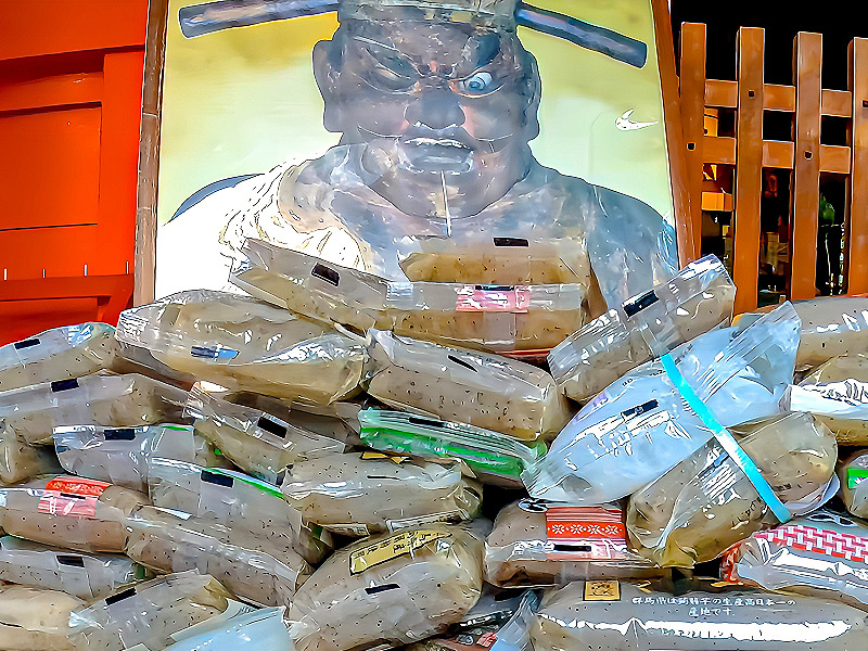 【小石川】境界協会と徳川＆暗渠ゾーンへ！茗荷“谷”と小石“川”を地形で解き明かせ～占春園、家康生母の菩提寺、こんにゃく閻魔…歴史と地形のコラボレーション～