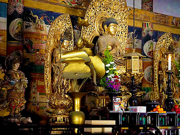 【仁和寺】寺院学芸員と徹底潜入ツアー！通常非公開、金堂・経蔵・霊宝館へ～宝物展示のお仕事実演！次から次へと名宝尽くし、興奮が止まらない～