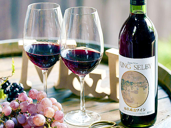 【大阪ワイン】西日本最古のワイン醸造所へ！ワイン5種飲み比べ、絶品ランチ付き～日本一のブドウの町！？G20も絶賛、造り手とワイナリー＆ブドウ畑探検～