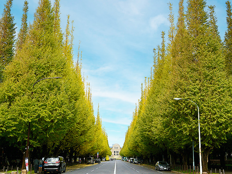 【東京オリンピック】境界協会と神宮外苑へ！東京五輪を境界と地形で解き明かせ～徳川一族と幻の五輪、谷底の境界公園、魅惑のトリプルジャンクションへ～