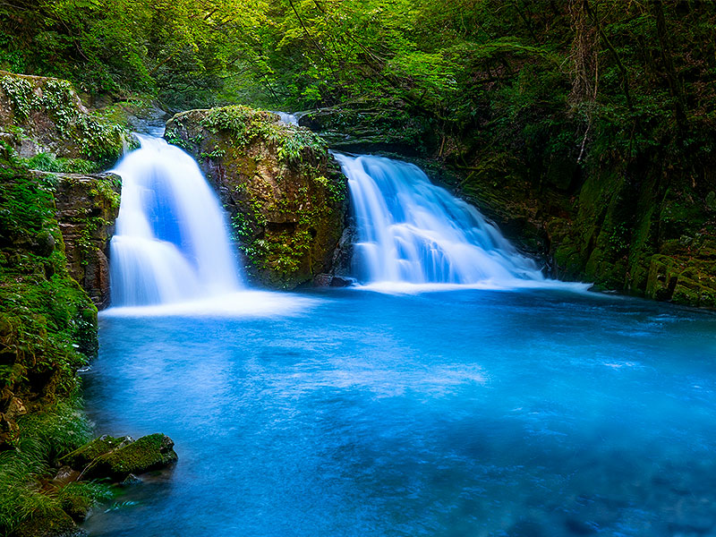【赤目四十八滝】苔と光の渓谷・もののけ姫の世界！滝づくし忍者修行の里へ～次から次へと名瀑絶景、森の案内人といく日本屈指のコケの聖地～