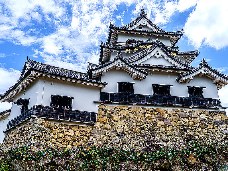 【サロン限定】梅林崖長と徳川四天王の名城へ！国宝天守「彦根城」徹底攻略ツアー～ずらり重文、鉄壁の櫓尽くし！圧巻の登り石垣から絶景の大名庭園まで～