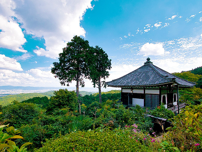 【ポンポン山】森の案内人とLet’sトレッキング！秋彩に染まる天空の山寺へ～深い森に鎮座する神峯山寺・本山寺・善峯寺、山頂でポンポンしよう～