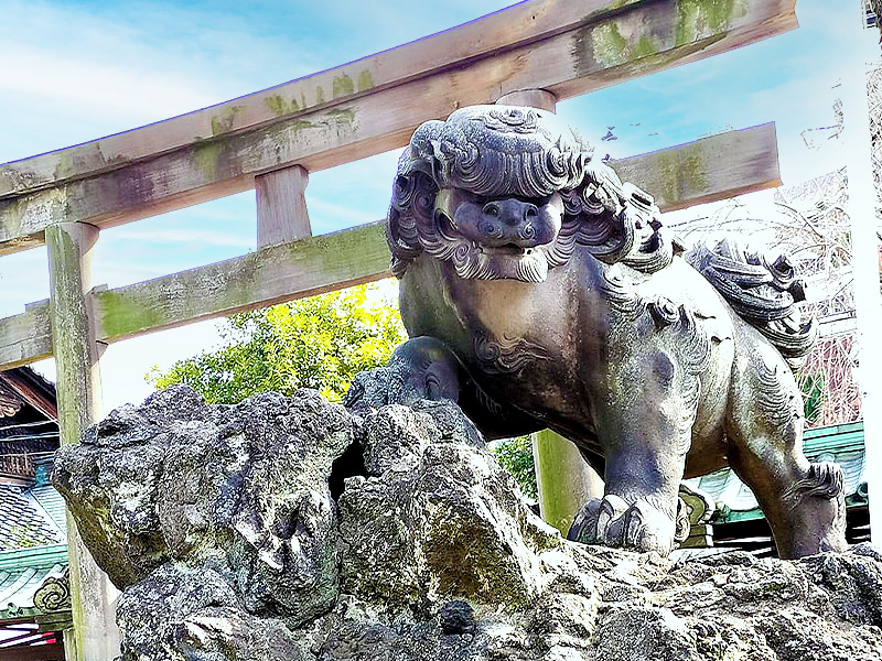 【浅草】狛犬愛好家と江戸狛犬のメッカへ！愛おしい個性派コマイヌ生態観察～江戸ッ子の見栄と粋！江戸尾立ち、江戸流れ、派手さを極めし獅子山まで～