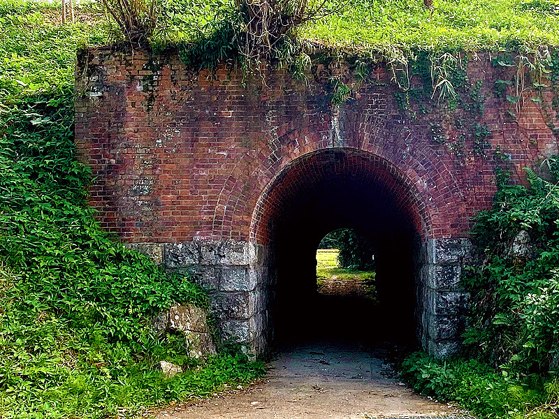 【大仏鉄道】幻の近代化遺産・ラピュタの世界！森に覆われた一世紀前の鉄道遺跡～“貴婦人”と呼ばれた機関車、ついに発見された橋梁跡、国境を越えていざ奈良へ～