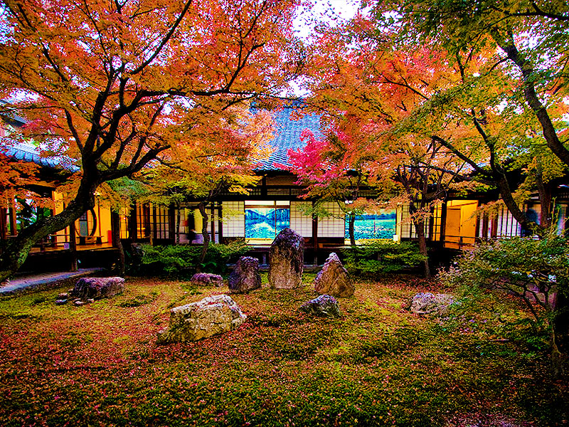 【東山】穴場の紅葉・庭園めぐり、建仁寺の潮音庭と正伝永源院へ～圧巻の双龍図、如庵写しの茶室、細川元首相・秋冬の襖絵まで～