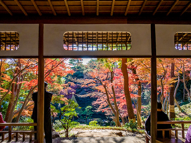 【国分寺】スリバチ学会と紅葉の別荘庭園へ！国分寺崖線とハケの湧き水が生んだ街～古代関東の中心はなぜここに！？幻の巨大寺院、茶室・紅葉亭からの絶景へ～