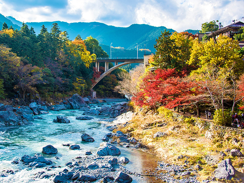 【奥多摩】御師たちが暮らす“天空の集落”へ！紅葉の御岳山、関東随一の霊場をいく～樹齢1000歳の巨樹、希少な御師集落、森の案内人とオオカミ信仰の聖地へ～