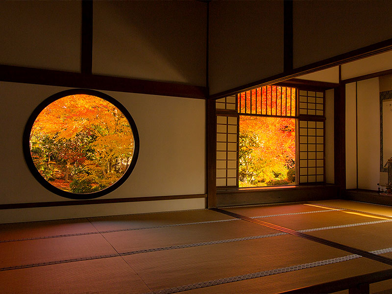 【鷹ヶ峯】本阿弥光悦が築いた芸術の拠点、古建築を移した錦秋の巨大庭園へ～源光庵、岩戸妙見、数多の屋敷や茶室…鷹ヶ峯・紅葉の名刹めぐり～