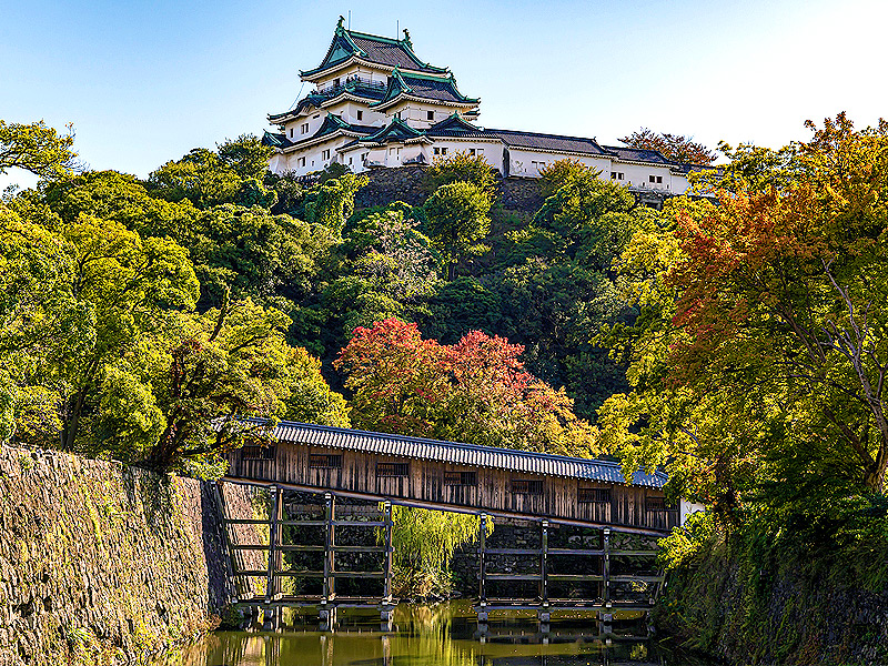 【和歌山城】徳川御三家の巨城＆城下町へ！松浦さんと「和歌山城」徹底攻略ツアー～豊臣家が築いた青石の石垣、日本三大連立式天守、城郭に作られた屈指の名園～