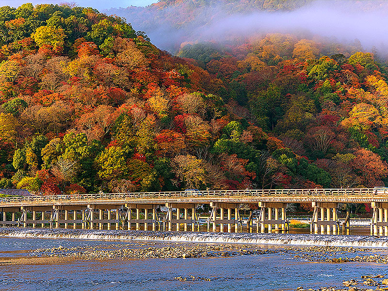 【嵐山】幕末研究者・木村先生といく激闘の嵐山、弘源寺・志士の刀傷特別公開～「禁門の変」長州藩の陣営群、龍馬の奇策から岩倉具視の京都再生まで～